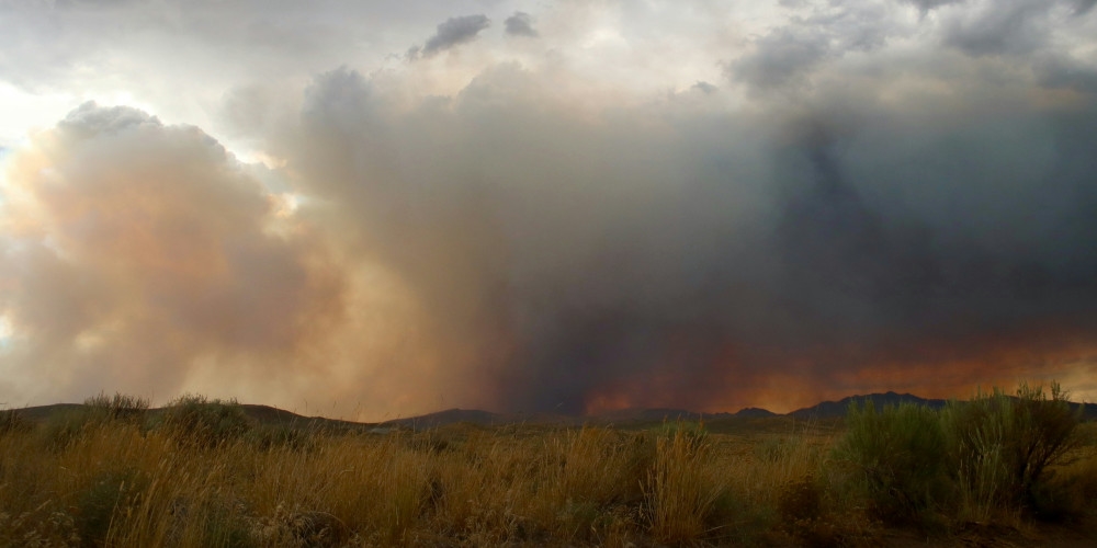 Incêndios na Califórnia impactam o Comércio Exterior global