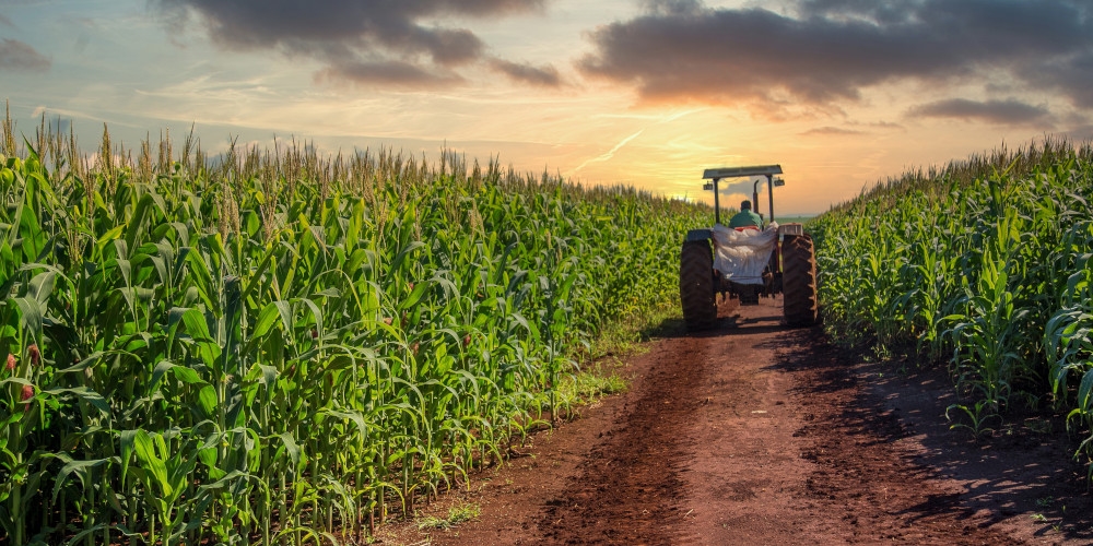 Exportações do agronegócio brasileiro alcançam 15,6 bilhões de dólares em março