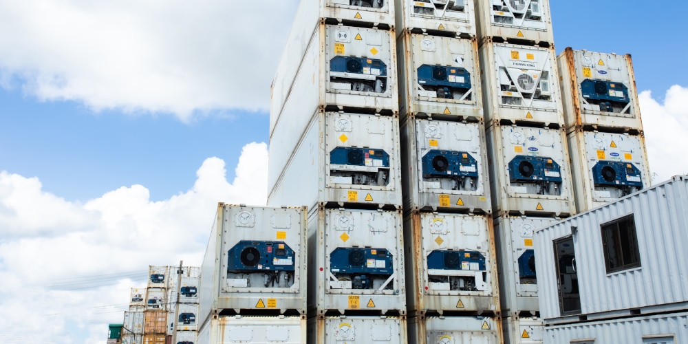 Terminal de contêineres de Paranaguá bate recorde em movimentação de contêineres refrigerados