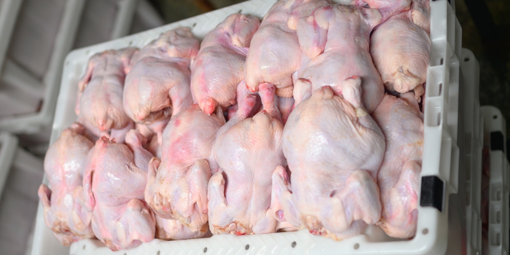 México e Reino Unido também retiram restrições de exportação à carne de aves brasileira