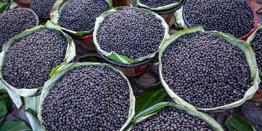 EUA reduzem tarifas para produtos agropecuários, e Brasil pode ser um dos maiores beneficiados