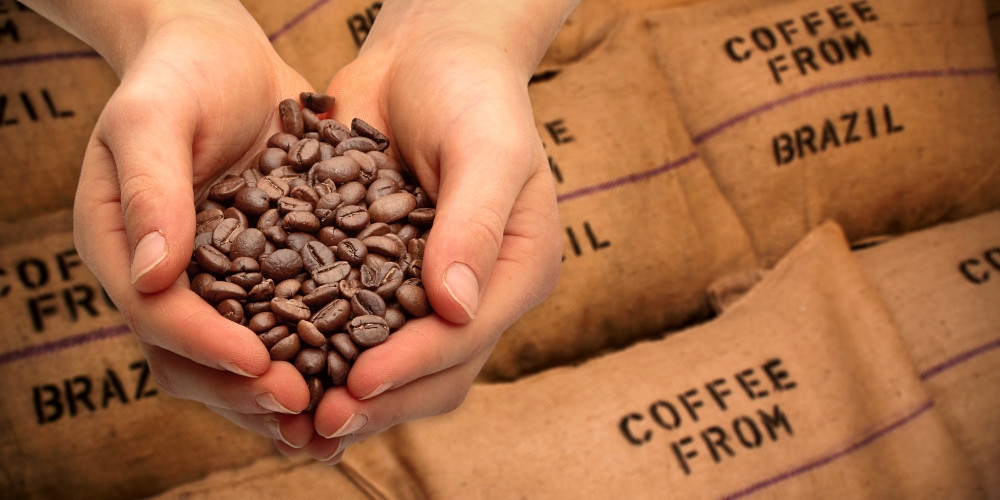 EUA assina decreto de isenção de tarifas sobre diversos produtos do Brasil